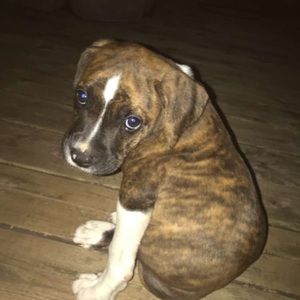 Meet your Posher, Kyla